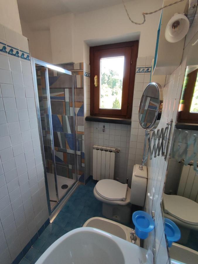 Villa Torrone Камайоре Екстериор снимка
